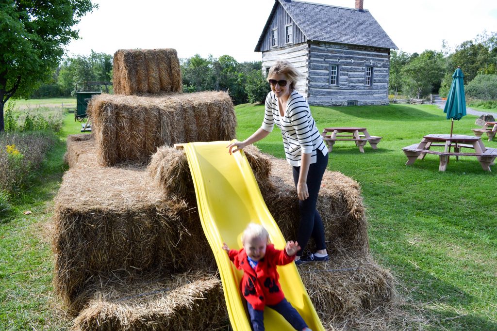 The Log Farm - Slide